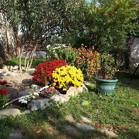 Old House Apartment With Garden Area Mtsʼkhetʼa Eksteriør billede